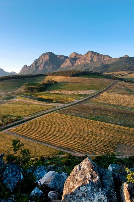 GoodHealthExpo's tweet photo. Babylonstoren offers a retreat where time stretches and the soul finally breathes, if you're seeking intimate, restorative, and perfectly still atmosphere 

During off-peak season, with fewer crowds, you can enjoy unhurried spa treatments and leisurely farm-to-table dining. 

- https://t.co/0cWxouFRek