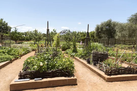 GoodHealthExpo's tweet photo. Babylonstoren offers a retreat where time stretches and the soul finally breathes, if you're seeking intimate, restorative, and perfectly still atmosphere 

During off-peak season, with fewer crowds, you can enjoy unhurried spa treatments and leisurely farm-to-table dining. 

- https://t.co/0cWxouFRek