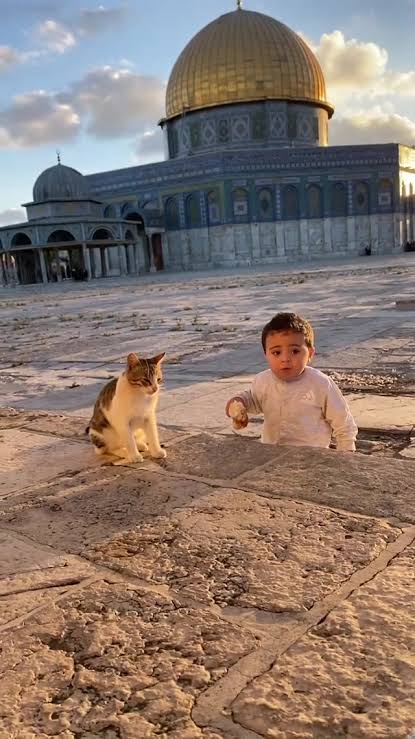 Sen bizim Mevla'mızsın. Başta Gazze olmak üzere dünyadaki tüm mazlumlara yardım eyle Allah'ım! 

Hayırlı Cumalar 🌻