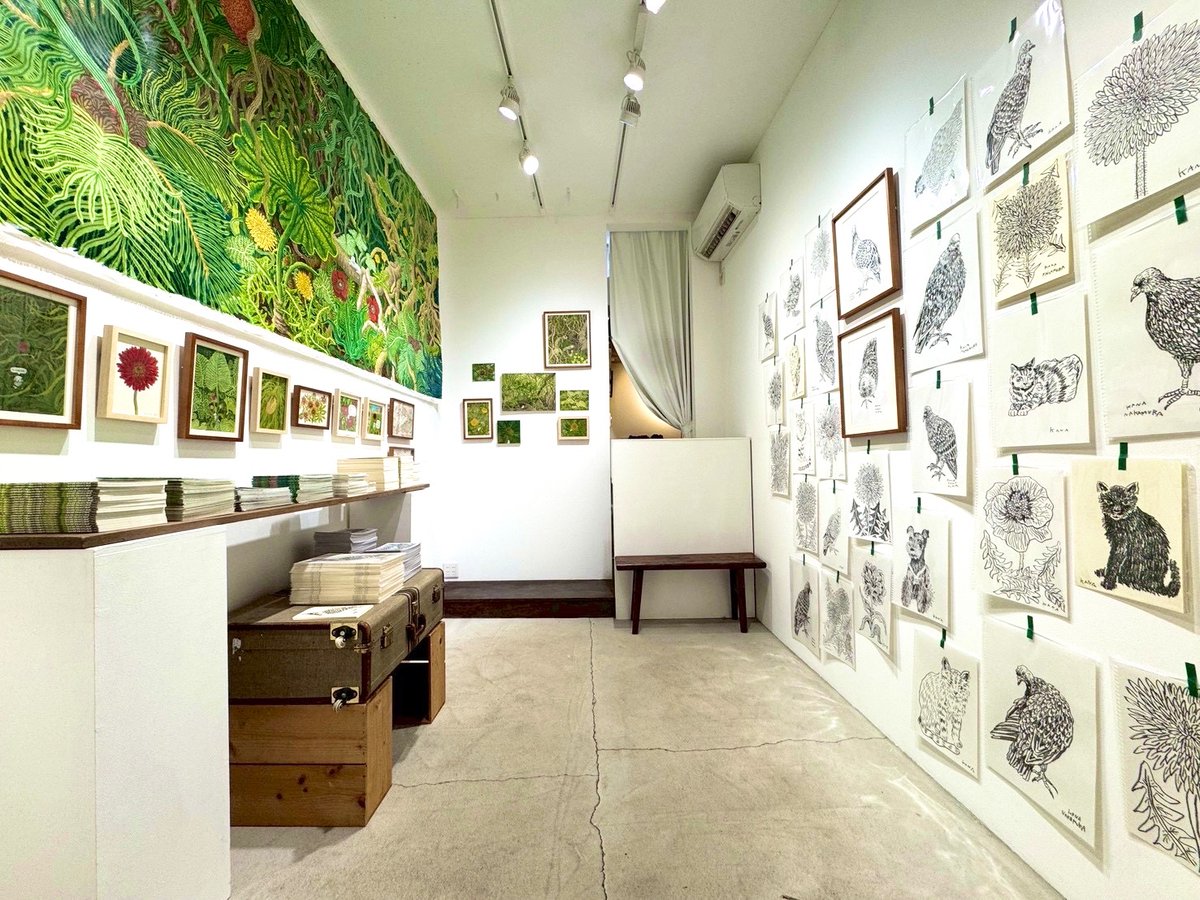 中村雅奈 Kana Nakamura tweet media