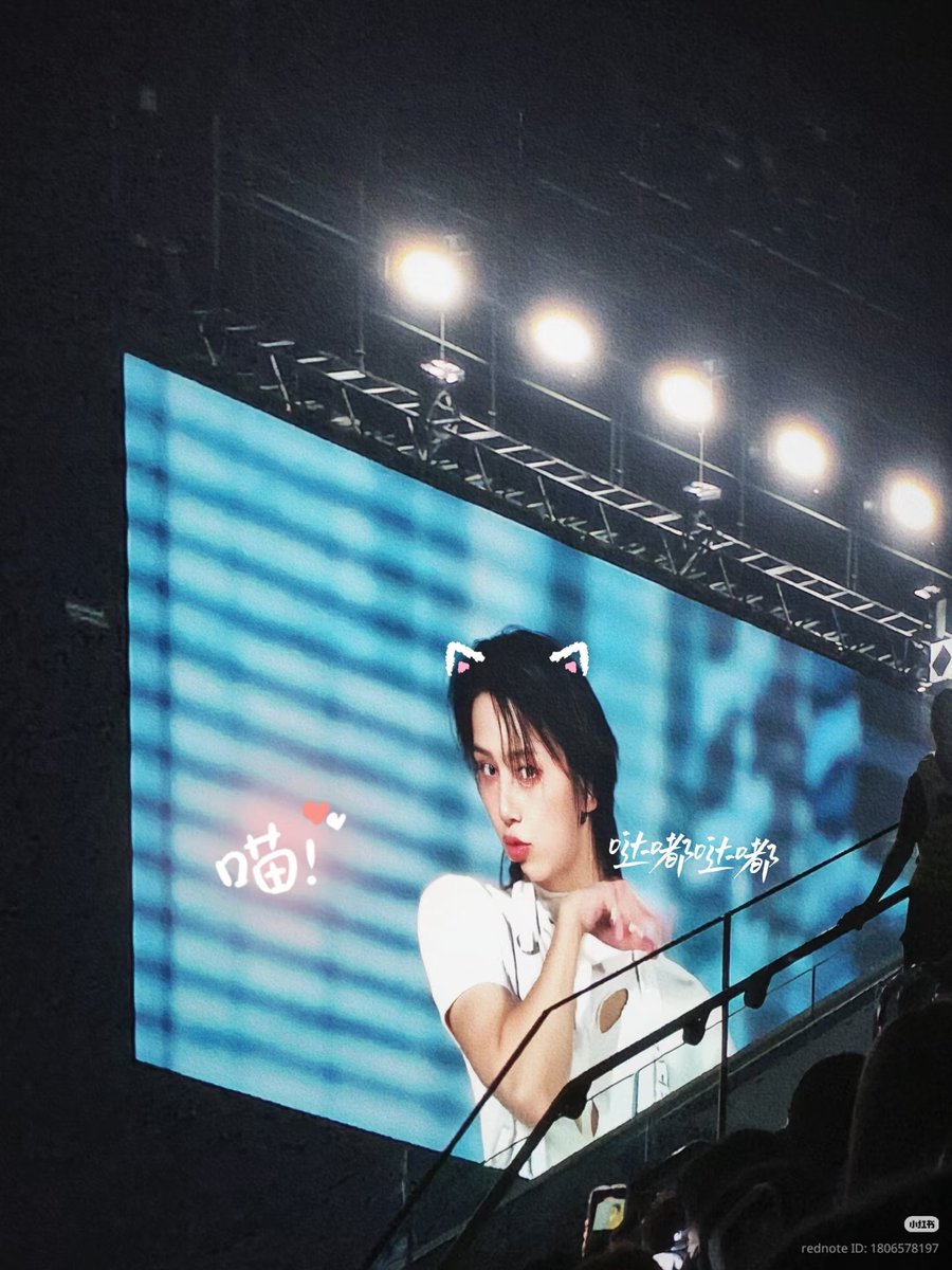 shiro 😼 tweet media