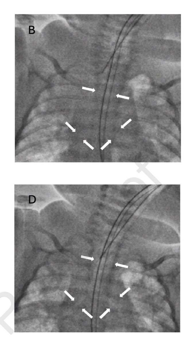 Hayley Gershengorn tweet media