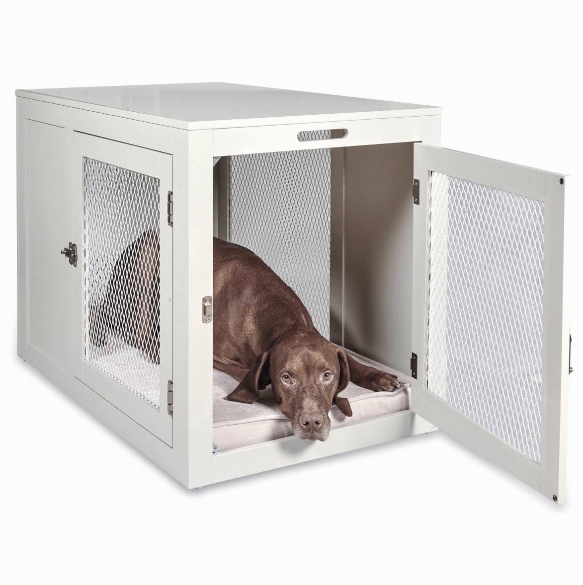MrsTyner's tweet photo. New favorite dog crate 🐶 https://t.co/49VSPOsr4w https://t.co/whrlmtoXzm