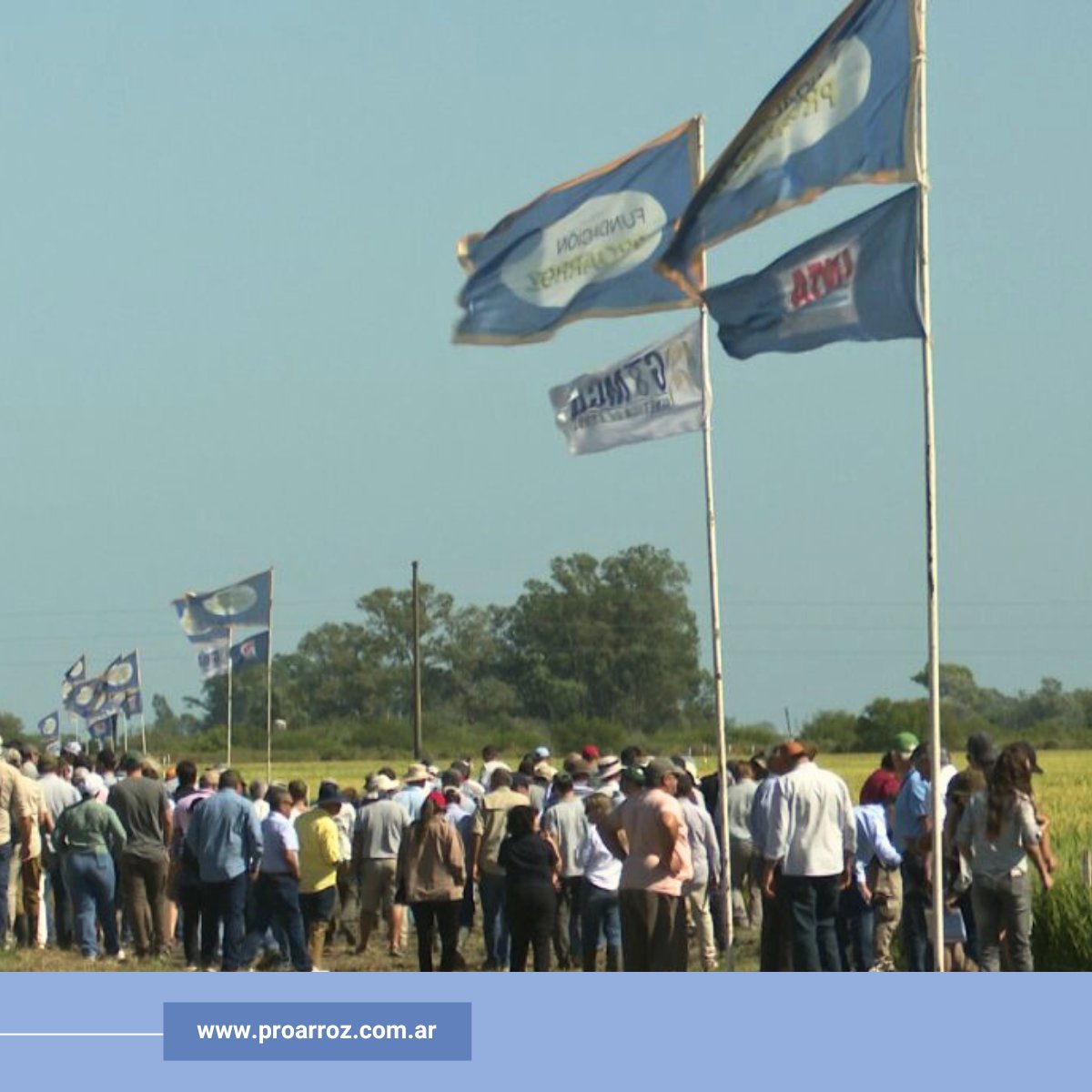 Fund_Proarroz's tweet photo. El pasado 26 de febrero logramos un nuevo récord de asistencia en nuestro Día de Campo de Arroz. Más de 230 participantes de Argentina y países vecinos nos acompañaron en una jornada con muchas novedades. ¡Gracias! El crecimiento del sector no se detiene cuando trabajamos juntos. https://t.co/QkTkTQgz5L