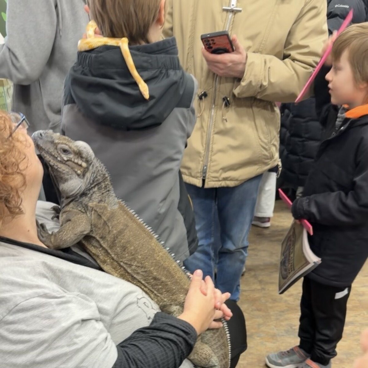 State Representative Maura Hirschauer tweet media