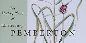 Hunt Institute for Botanical Documentation tweet media