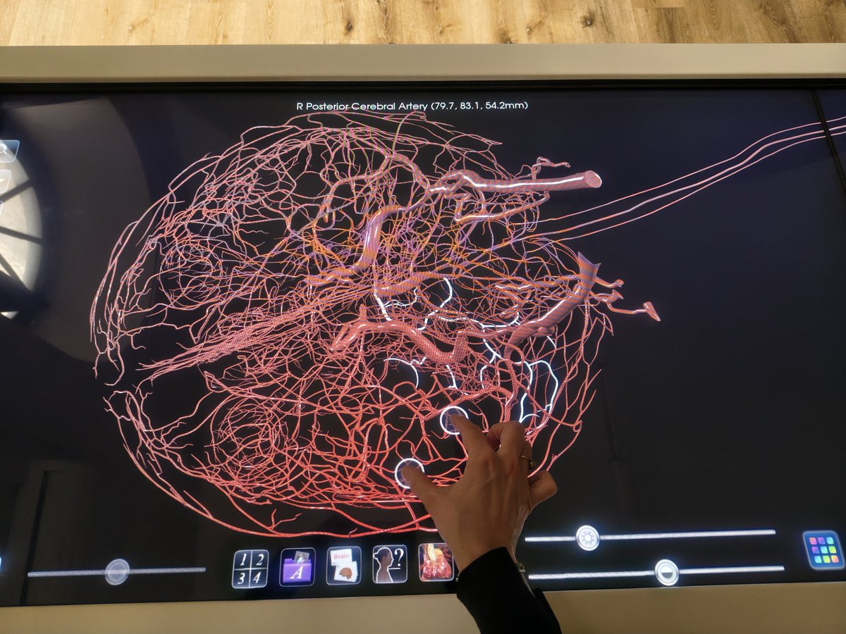 Roberta Schellino tweet media