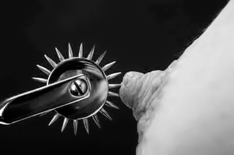 sub-tracked-mind tweet media