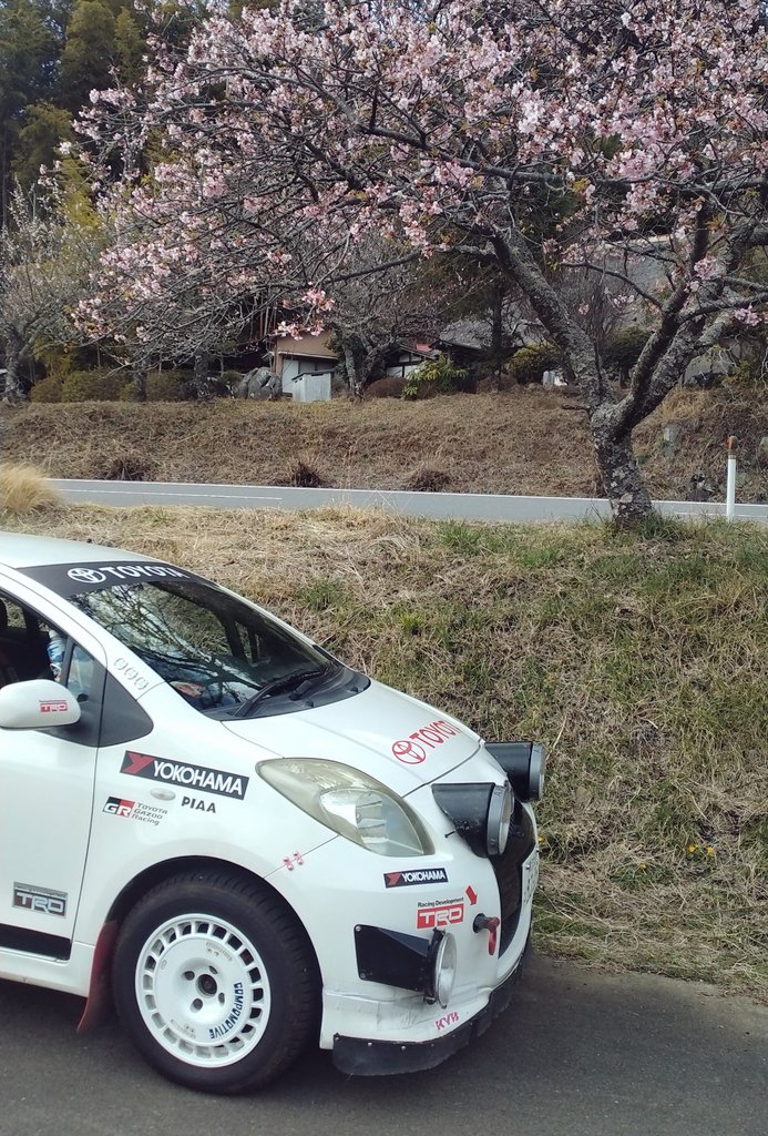 桜と愛車🌸