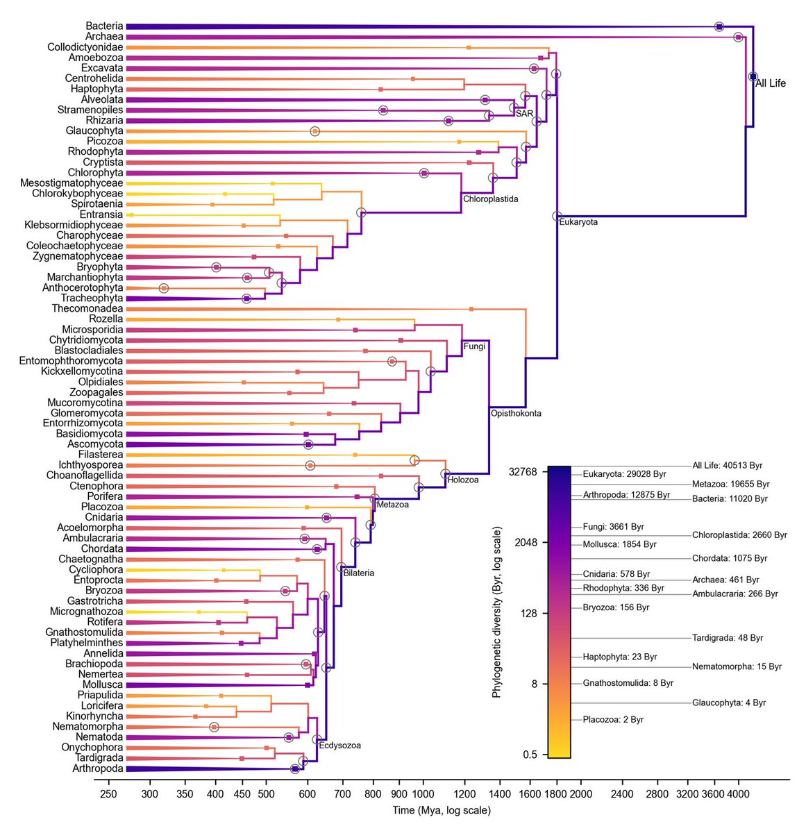 Hoyaboya tweet media