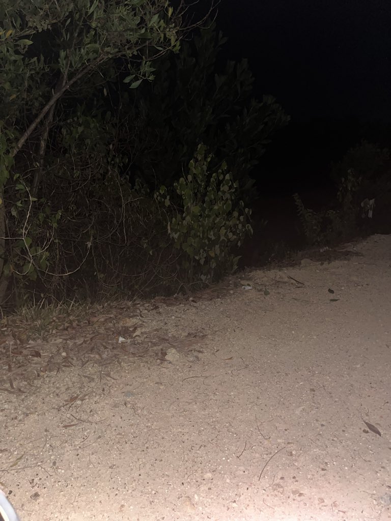 ลูกหยี• 100 ทวิต tweet media