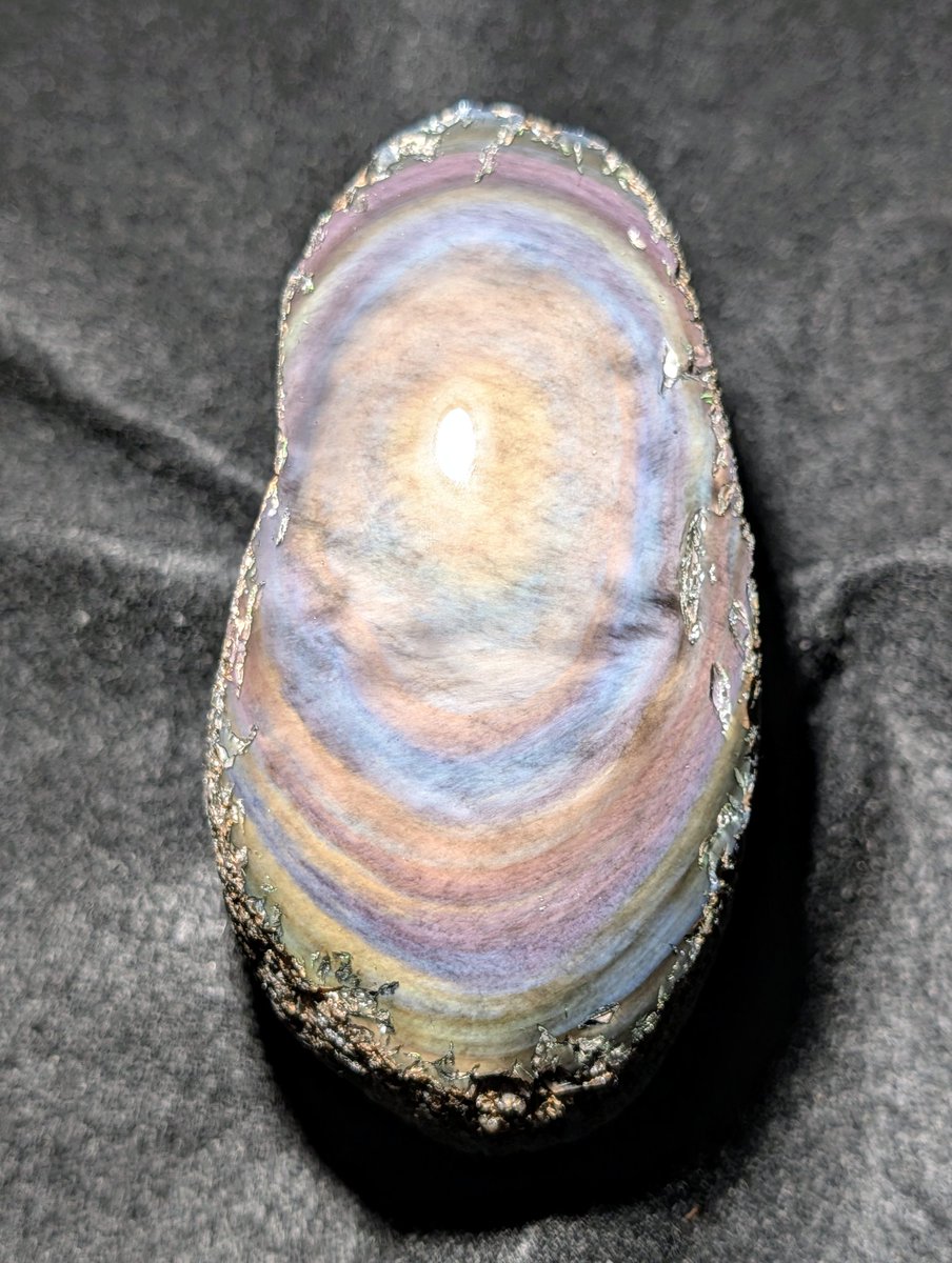 玲瓏石🌌 (@reiro369) / Posts / X