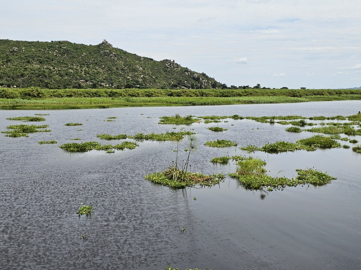 Nile Basin Discourse tweet media