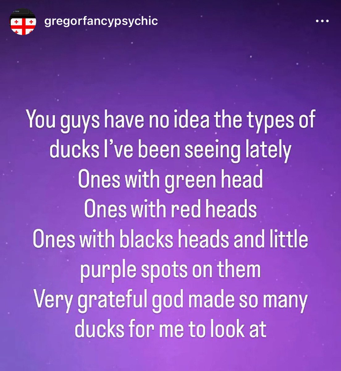 —THE BEAR ʕ⁠·⁠ᴥ⁠·⁠ʔ tweet media