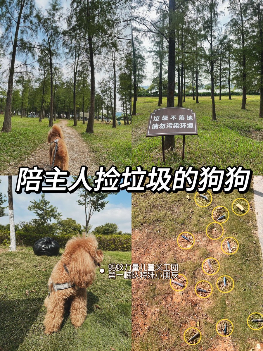 RichFriΞnd.ETH🦉.eth tweet media