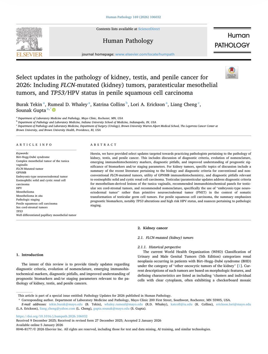 Katrina Collins, MD || Pathologist tweet media