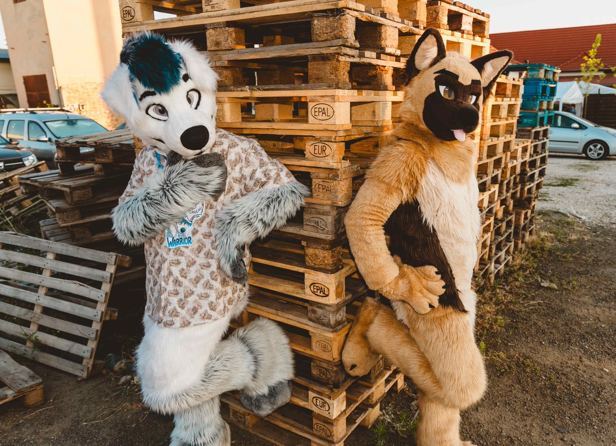 Hungarian Diva Doggo tweet media