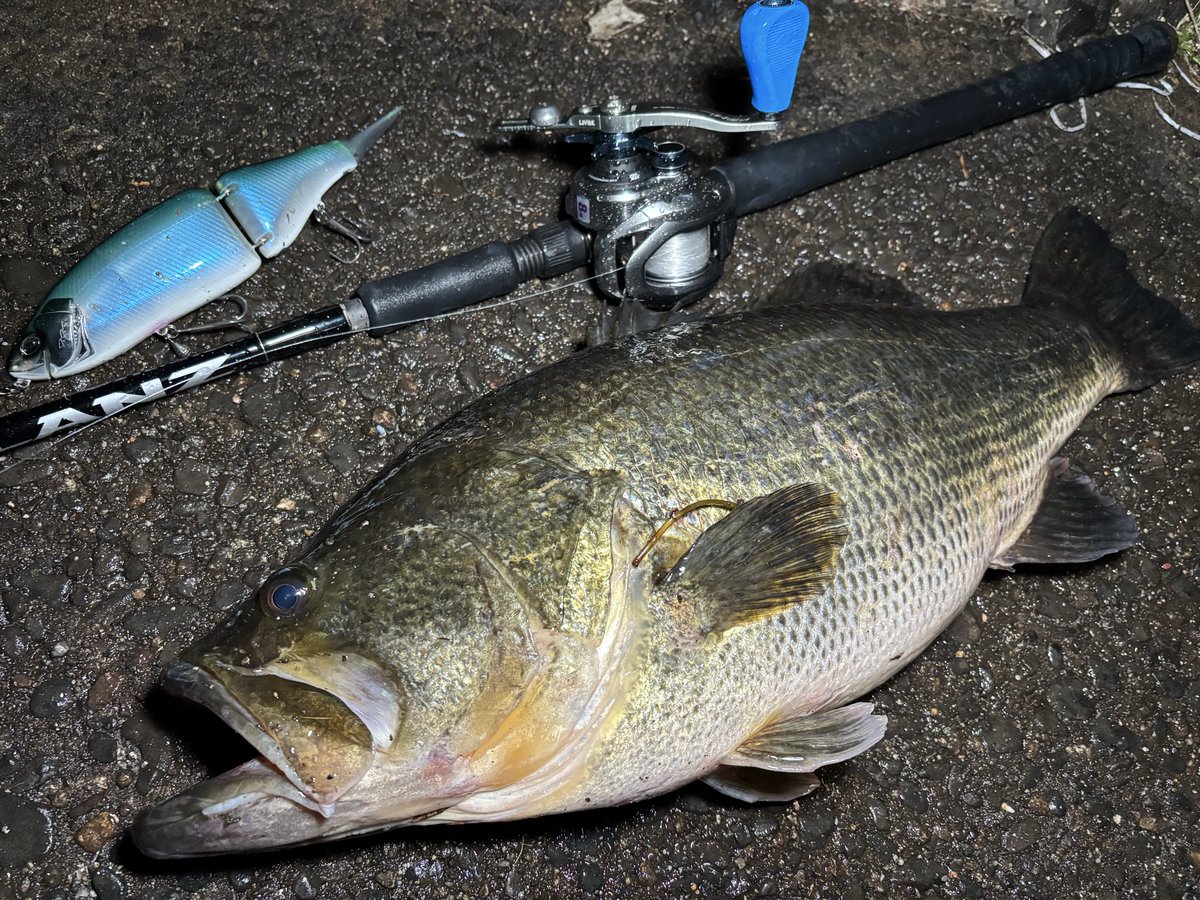 黒澤　龍人(山形県民) tweet media