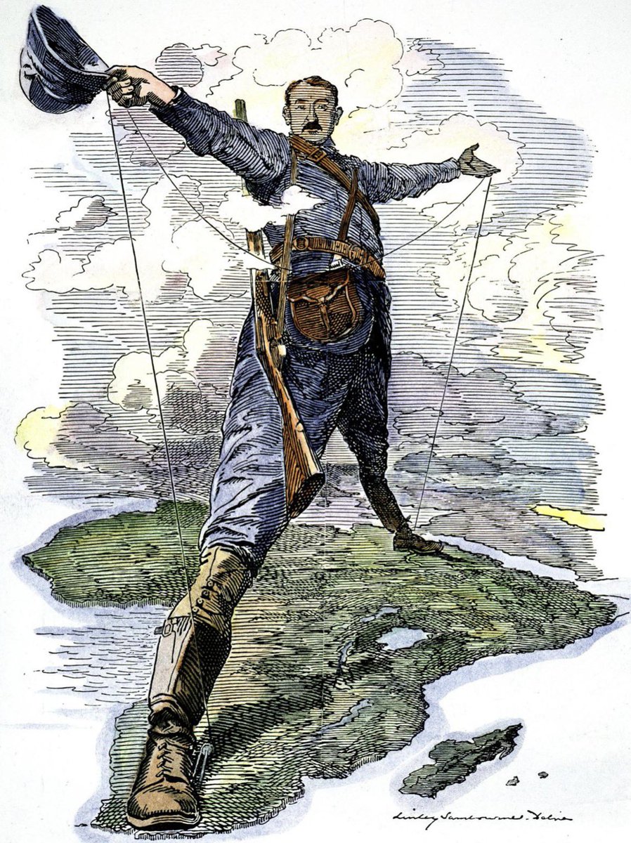 Wolf 🐺 tweet media