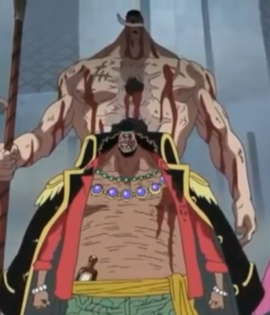 MagnusCk tweet media