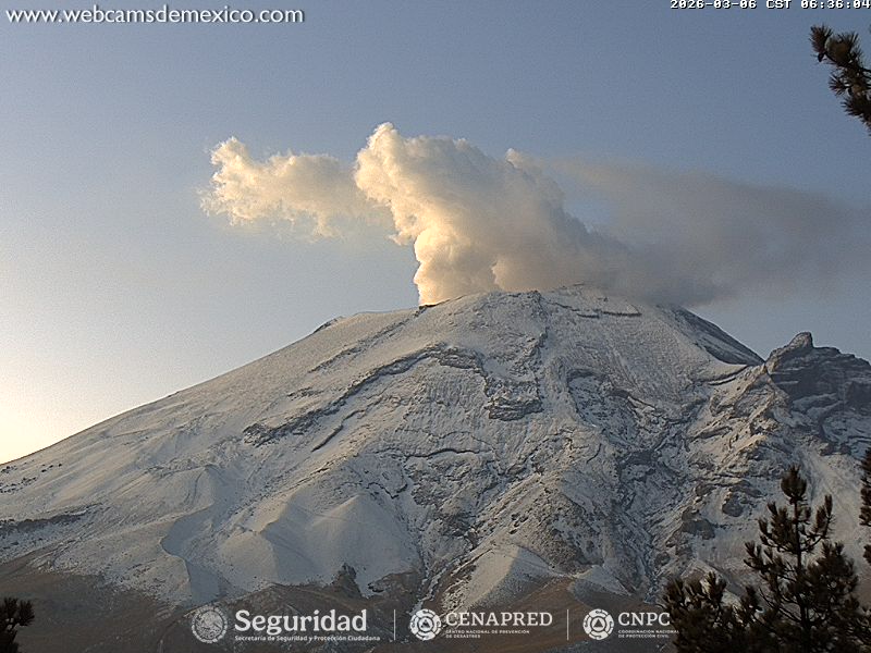 webcamsdemexico's tweet photo. ¡Buenos días! 
📸 El #Popocatépetl amanece nevado y ofrece hoy una de las postales más hermosas de #México para el mundo 🌨️🌋

¿Tú tienes la fortuna de verlo desde tu localidad?

Vistas Tlamacas. Gracias #CENAPRED 
https://t.co/WweDo0OQbx https://t.co/wRmN1inmnG