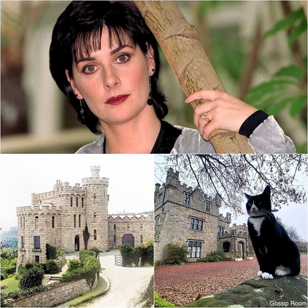 🚨 À 64 ans, la chanteuse irlandaise Enya n’a jamais été mariée, n’a pas d’enfants et vit dans un château avec ses chats !

Révélée mondialement en 1988 avec l’album "Watermark" et le tube "Orinoco Flow", elle a vendu plus de 80 millions de disques et remporté plusieurs Grammy