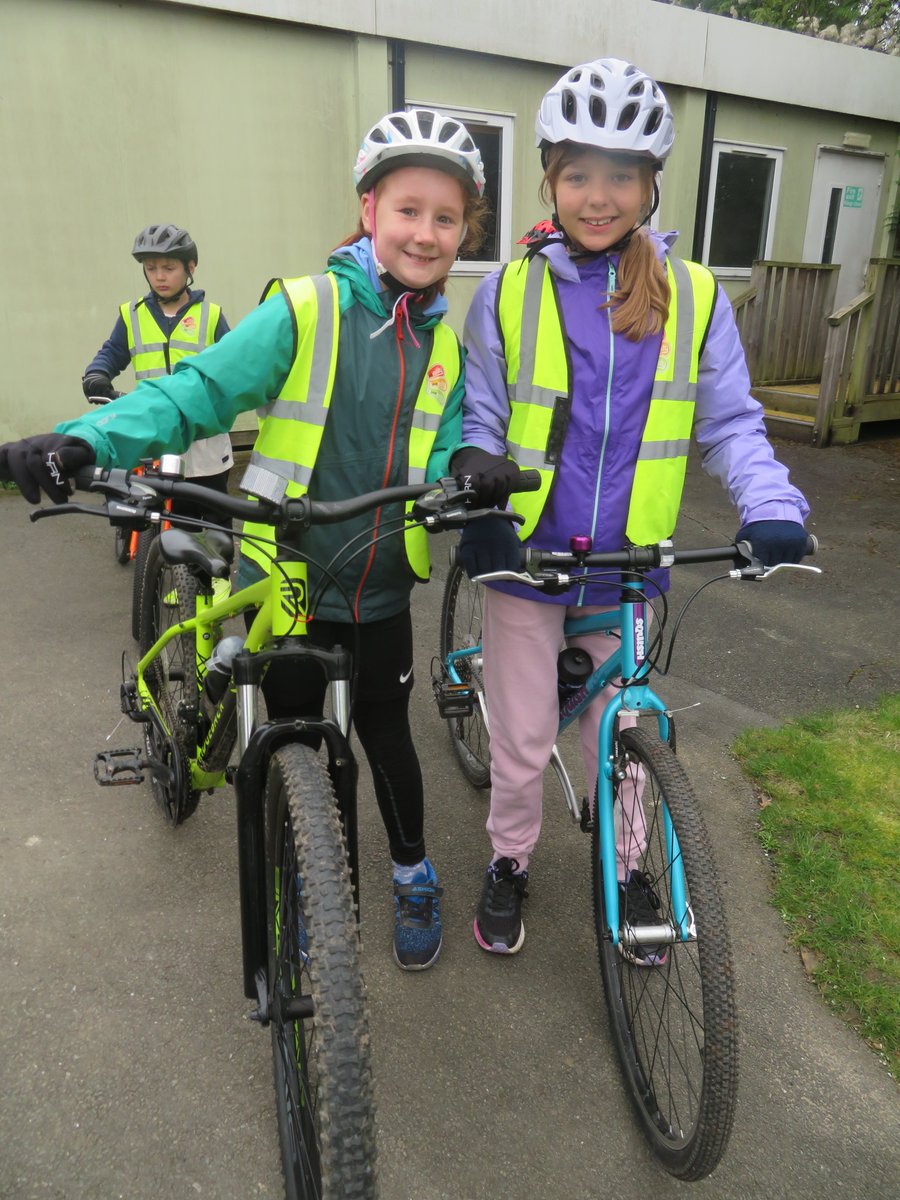 goringprimary tweet media