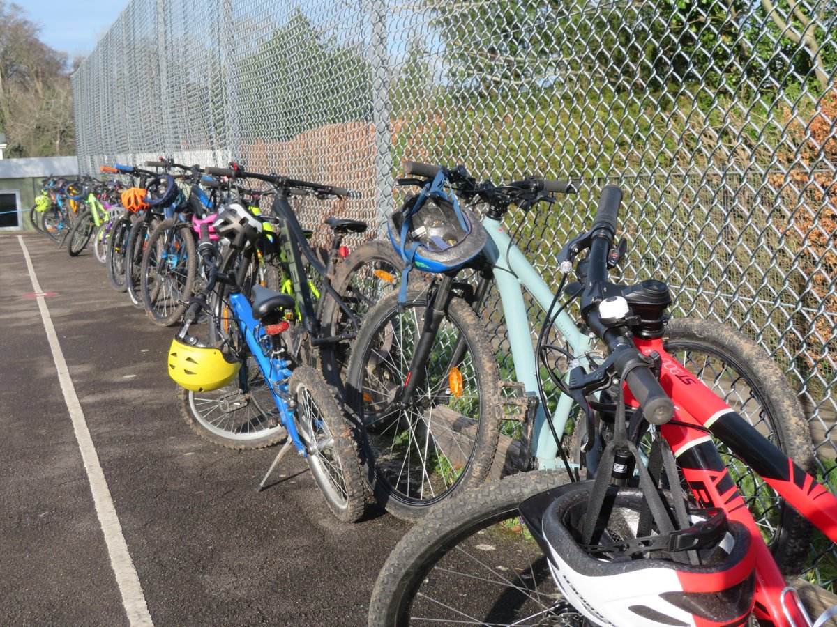 goringprimary tweet media