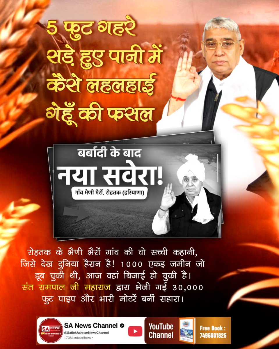 #किसान_मसीहा_संतरामपालजी
5 फुट गहरे सड़े हुए पानी में कैसे लहलहाई गेहूँ की फसल?
रोहतक के भैणी भैरों गांव की वो सच्ची कहानी, जिसे देख दुनिया हैरान है! 1000 एकड़ जमीन जो डूब चुकी थी, आज वहां बिजाई हो चुकी है। संत रामपाल जी महाराज द्वारा भेजी गई 30,000 फुट पाइप और भारी मोटरें बनीं