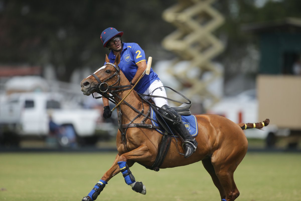 Polo Times tweet media