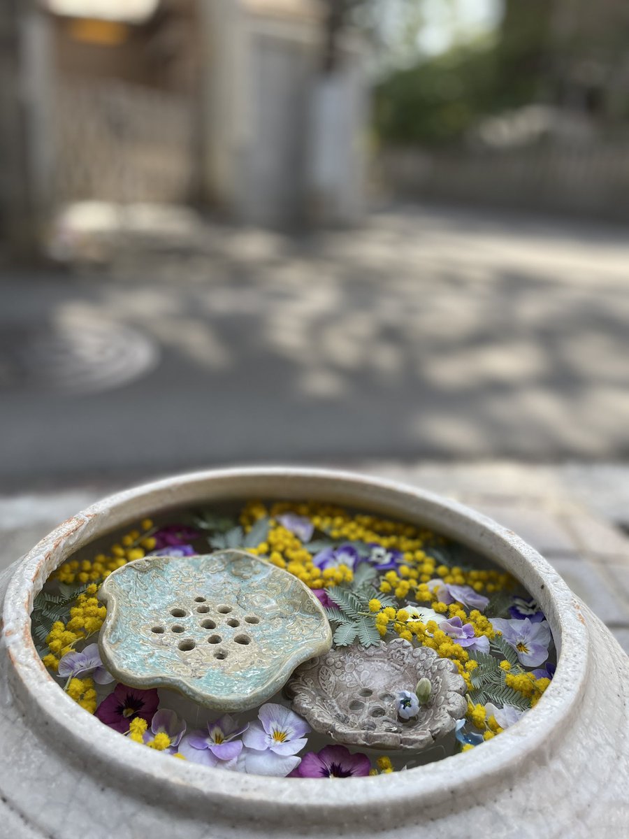 3/16まで店内では #ねこねこてんてん 開催中。店頭と周辺では #行田花手水week 始まってます🌸