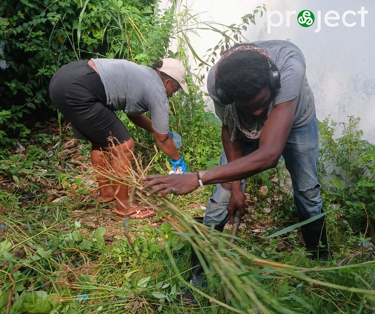 project trinitē tweet media