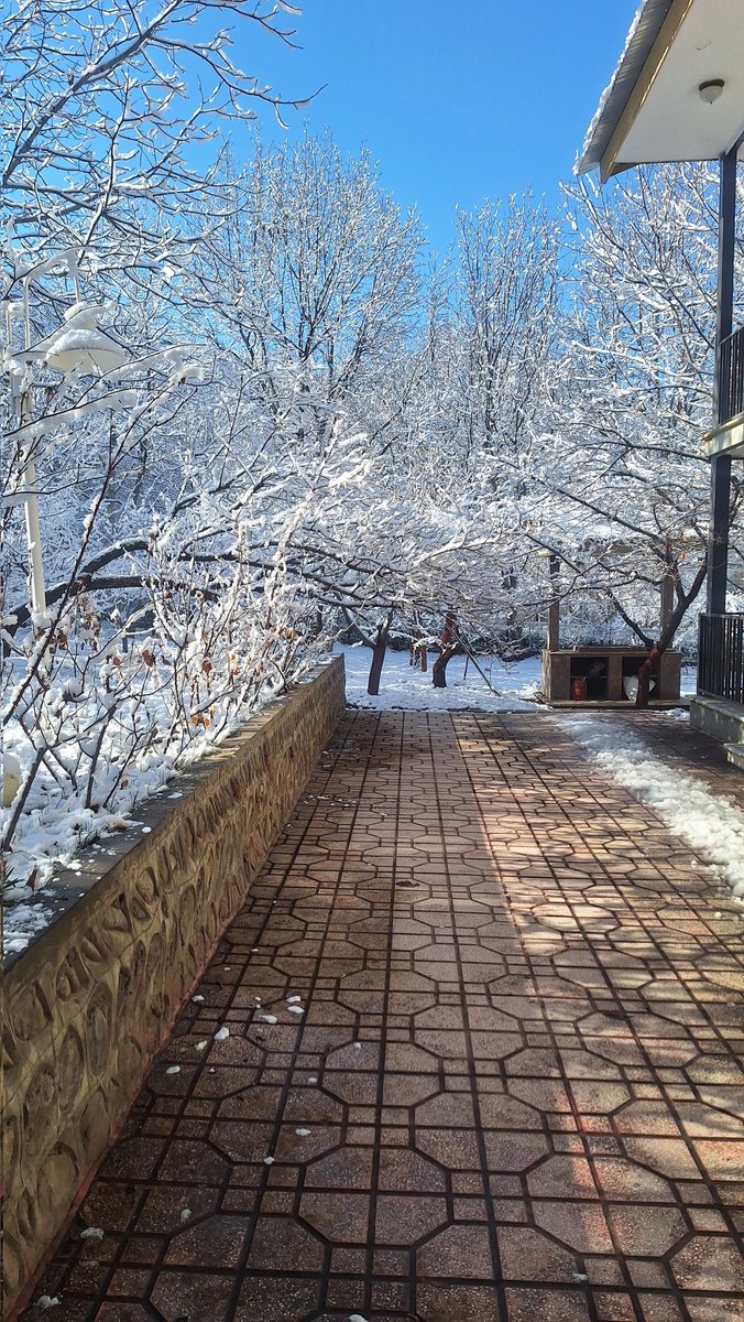 آقای متفکر tweet media