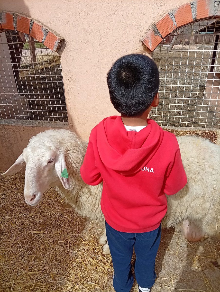 ceipantoniosuna's tweet image. ¡Un día inolvidable en la granja! 🌿🐓🐐
Nuestros peques de 2-3 años, 3, 4 y 5 años, junto al aula espiral 🌀, han disfrutado de una maravillosa jornada en la granja Giraluna.

#ExcursiónEscolar #AprenderEnLaNaturaleza #GranjaEscuela #EducaciónInfantil #colegioantonioosuna