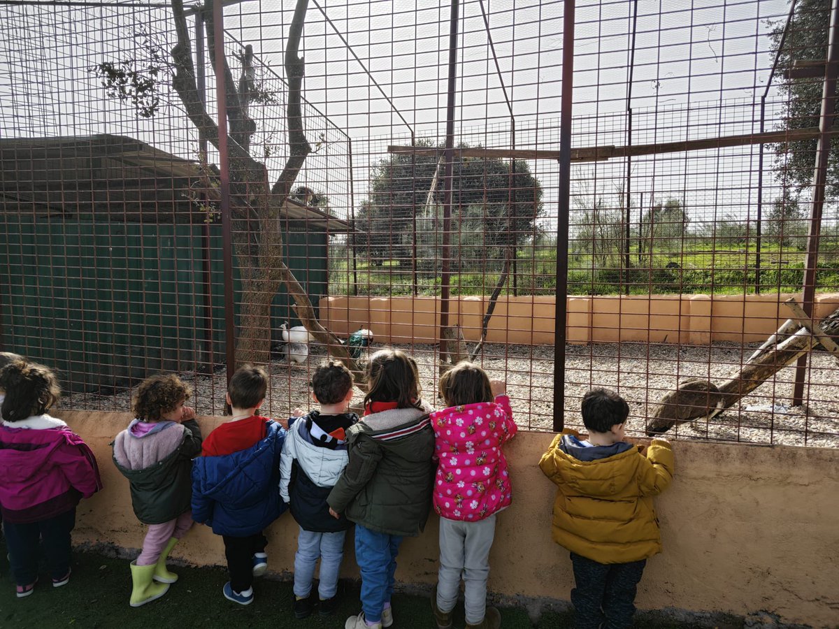 ceipantoniosuna's tweet image. ¡Un día inolvidable en la granja! 🌿🐓🐐
Nuestros peques de 2-3 años, 3, 4 y 5 años, junto al aula espiral 🌀, han disfrutado de una maravillosa jornada en la granja Giraluna.

#ExcursiónEscolar #AprenderEnLaNaturaleza #GranjaEscuela #EducaciónInfantil #colegioantonioosuna