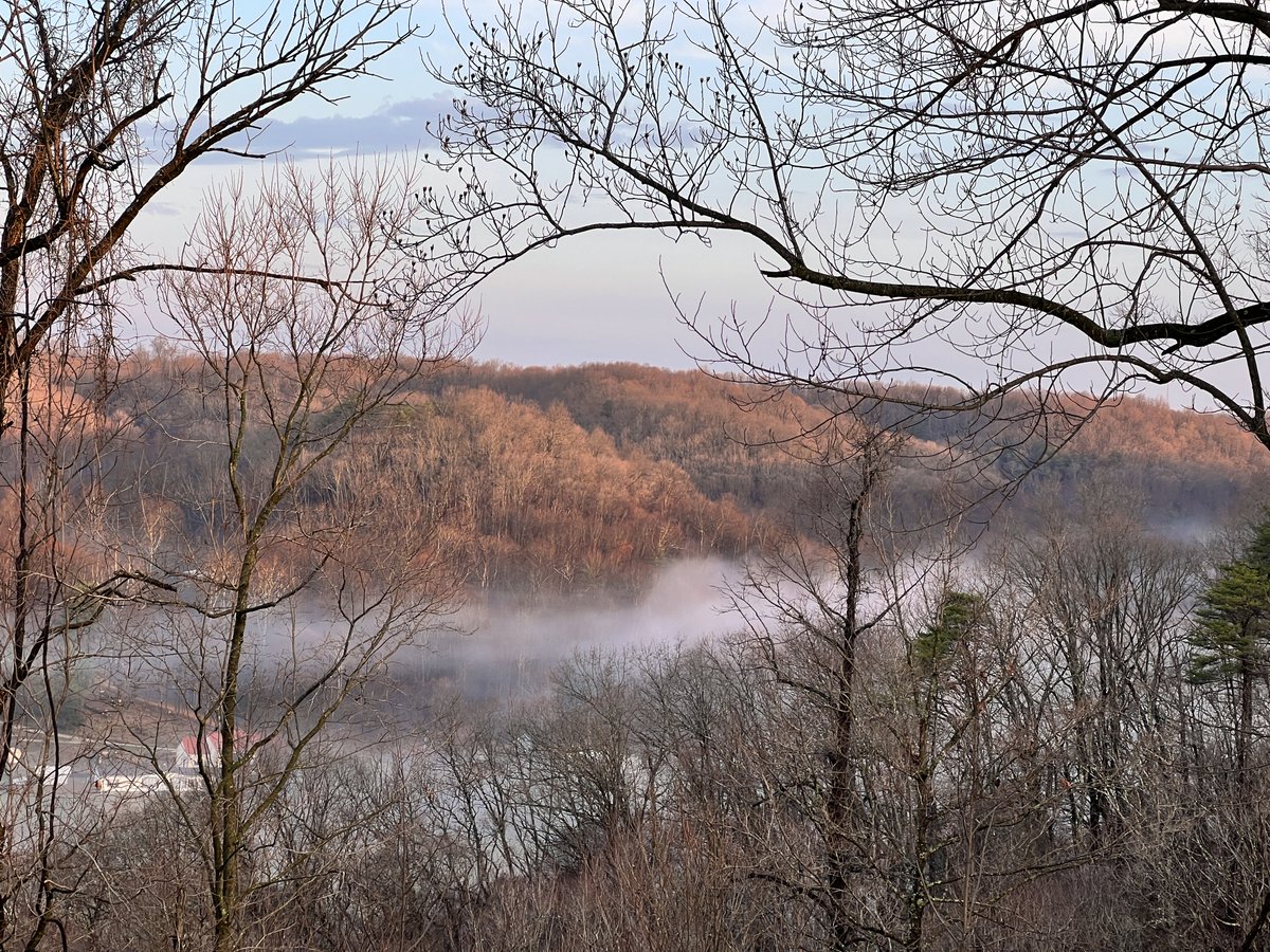 pennymoss tweet media