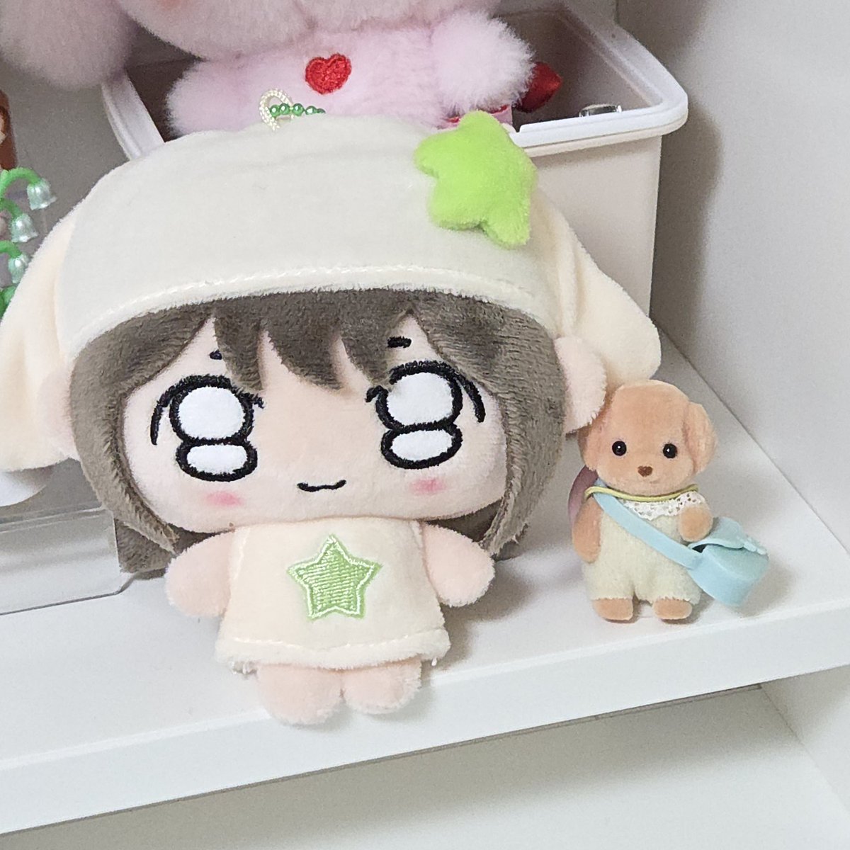 강아지모임