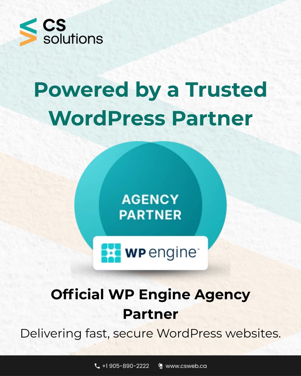 CS Web Solutions tweet media