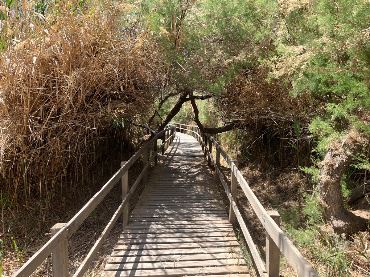 xperienceguy's tweet photo. 5. Azraq Wetland Reserve

A nature reserve located in the town of #Azraq in the eastern desert of #Jordan. An oasis for migratory birds, the reserve was established in 1978 and covers 12 square KMs.

Post 6 https://t.co/2gXrSO8S7S