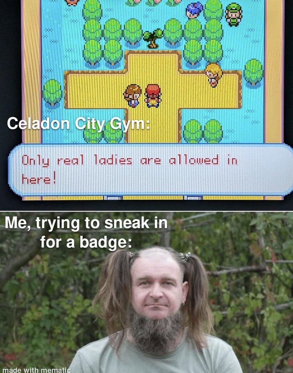 pokehaven tweet media