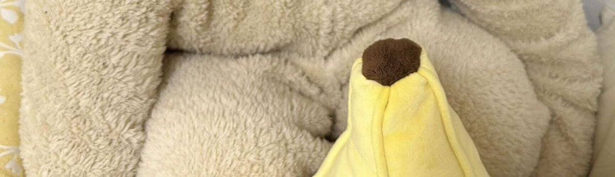 すずかまる✳︎ tweet media