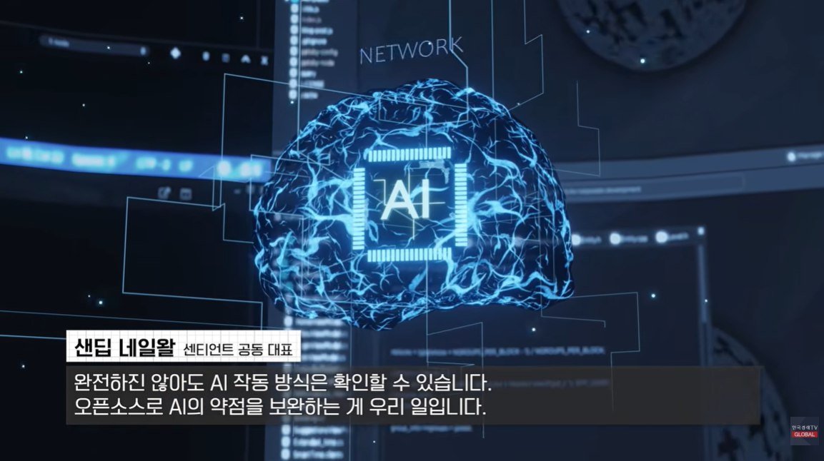 Yang0sheep tweet media