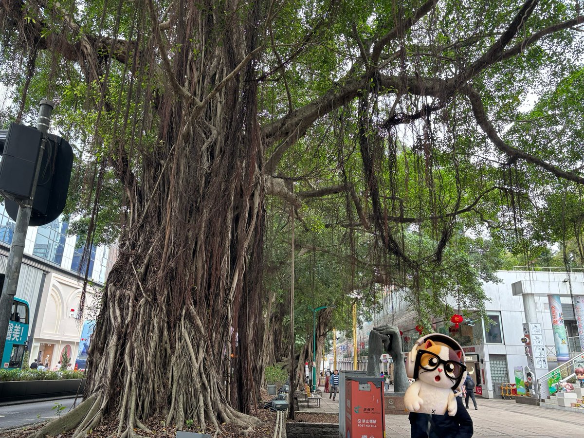 苏格拉没有底5555（Liberty Cats） tweet media