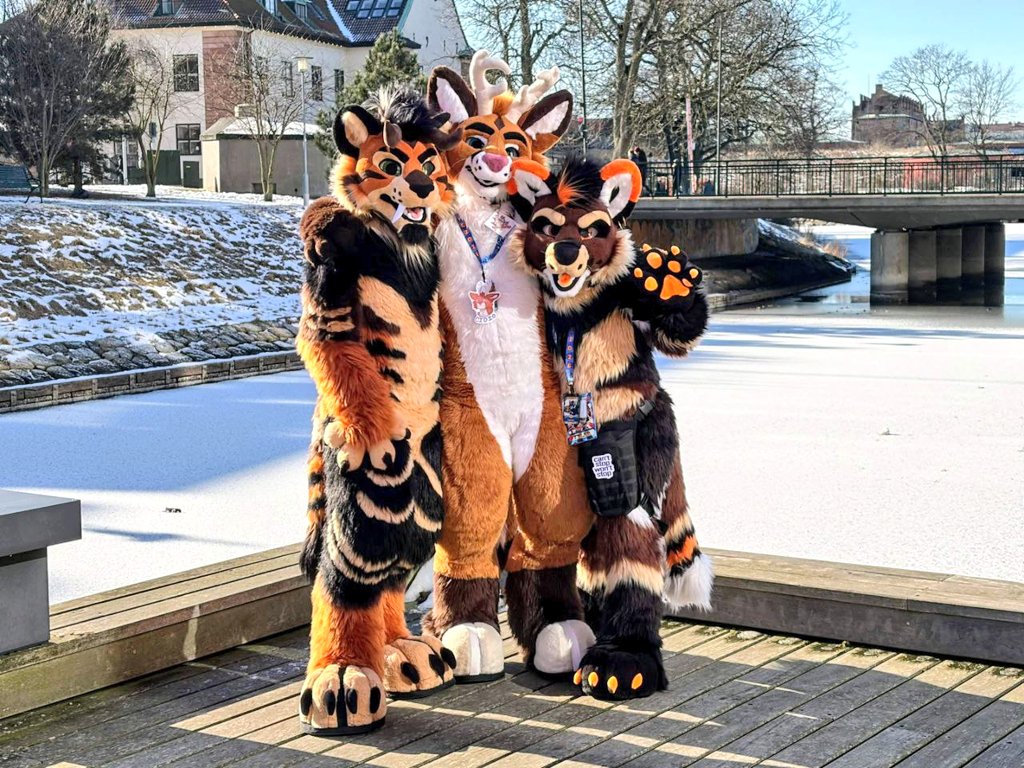 TheKareliaFursuits 🔜 EF tweet media