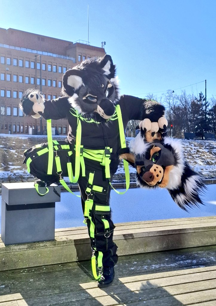 TheKareliaFursuits 🔜 EF tweet media