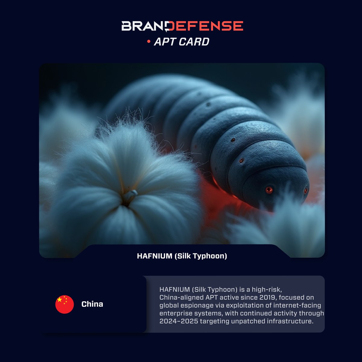 BRANDEFENSE | Digital Risk Protection Service tweet media