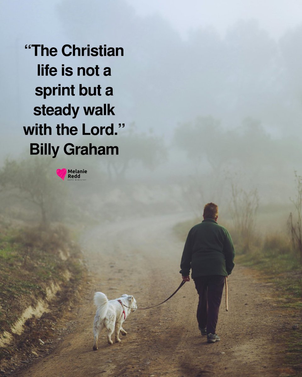 Melanie Redd tweet media