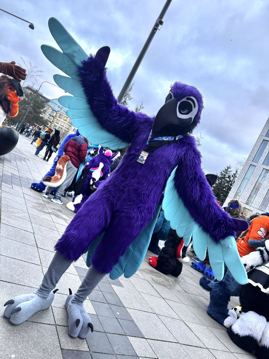 V Λ L E N T I N E 🔜 FWH EF tweet media