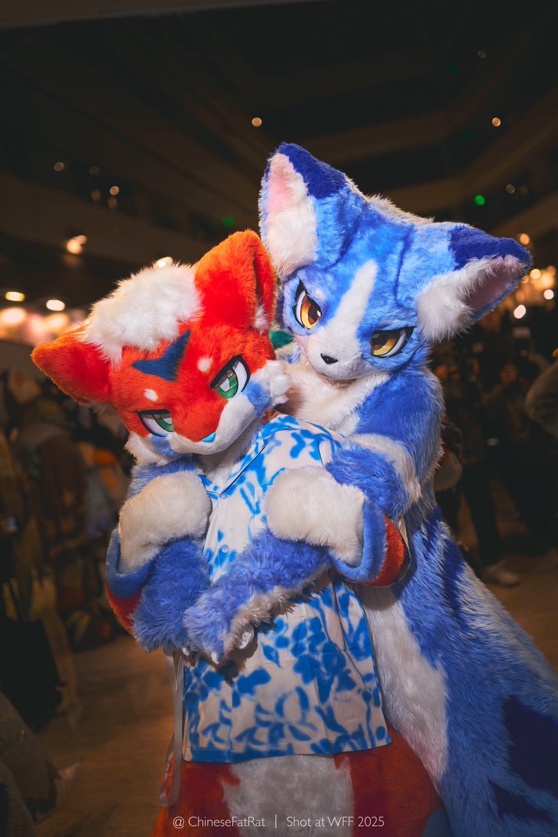 Link翎可 🔜 🛏️ tweet media