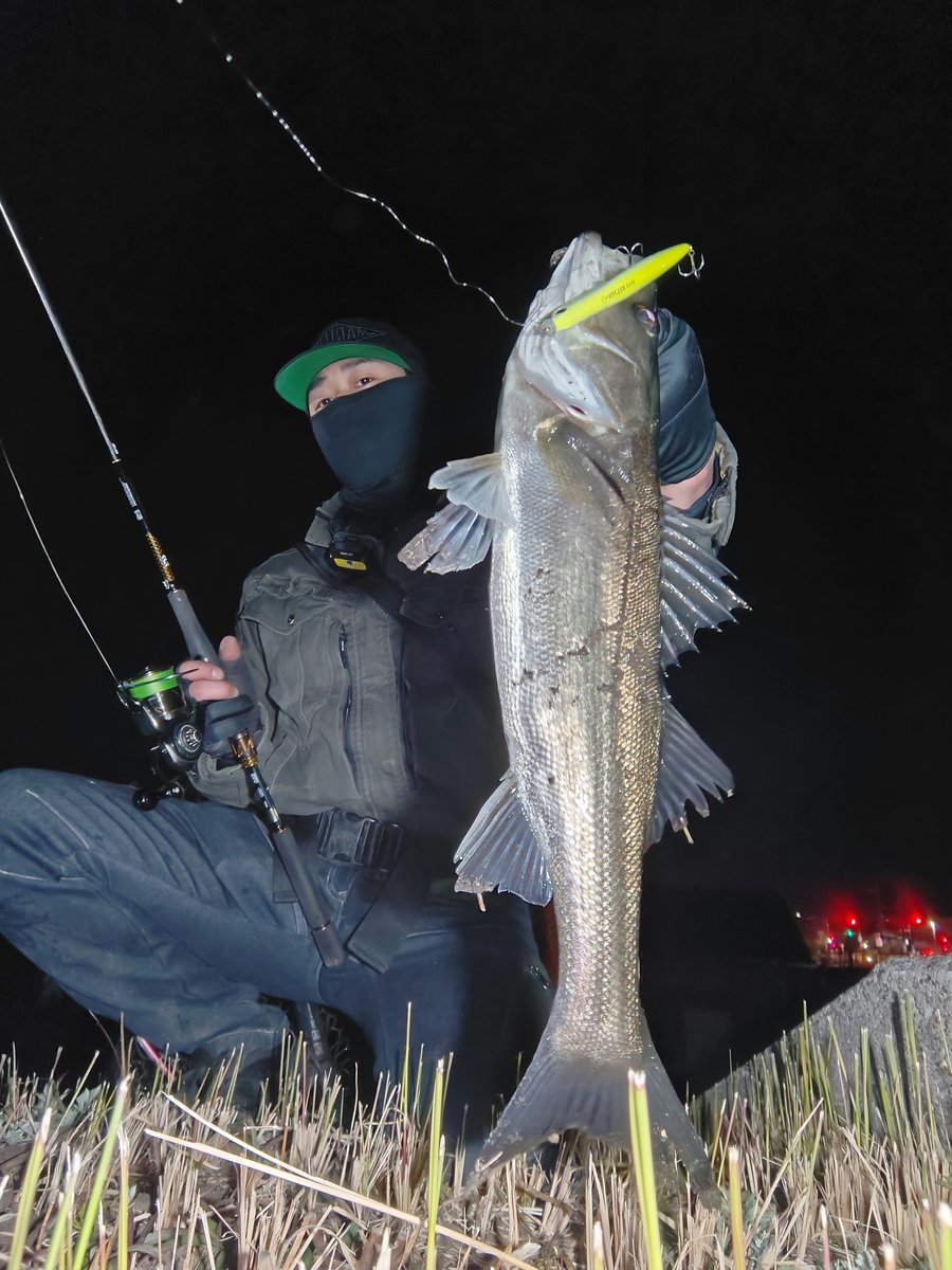 POP SEA CREW (ポップシークルー) (@popseacrew) / Posts / X